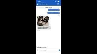 Send Pictures and GIFs Instantly—Here’s How!  #SpoofCard #Pics #GIFs #TechTips