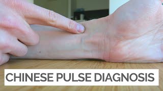 Celebrity Chinese Pulse Diagnosis  A Beginner's Guide Wealth