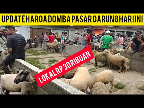 Jual Beli Kambing Wonosobo