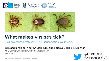 TCV Tick Awareness Webinar