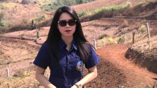 รายการ คนไทยหัวใจเกษตร วันที่ 25 มีนาคม 2559 B3