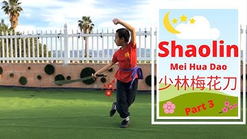 Shaolin Kung Fu Training Ep. 26 Shaolin Mei Hua Dao 少林梅花刀 - Part 3