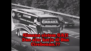 Gimana sistem gaji dan alur kerja di bus cirebonan??????