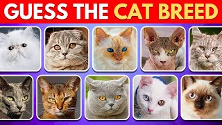 Guess All 65 Cat Breeds in 3 Seconds! 🐱💨 | Ultimate Cat Breed Quiz Challenge