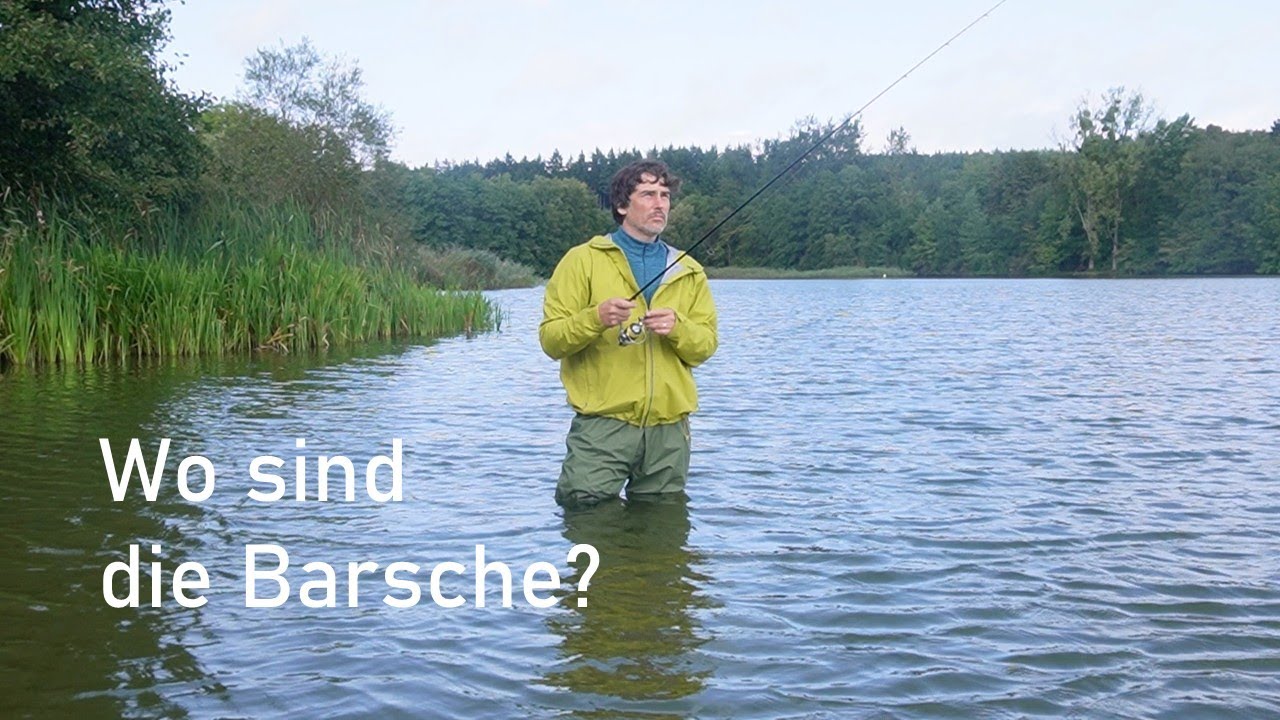 BARSCHE fangen heißt Barsche FINDEN!