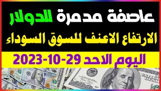 اسعار الدولار اليوم/سعر الدولار اليوم/اسعار الدولار في السوق السوداء اليوم الاحد 2023/10/29 بمصر