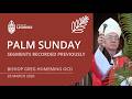 PALM SUNDAY 2026 with Bishop Greg Homeming  | St Carthages Cathedral l Lismore