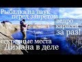 Рыбалка 2019. Рыбалка на паук. Рыбалка на карася. Финка НКВД DARK. Карась клюет как из пулемета.