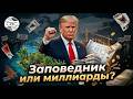 Проект семьи Трампа поднял Албанию на протест