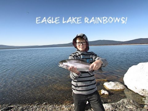 Fishing For Rainbow Trout At Eagle Lake California - 15 Degrees