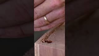 How to Fill Voids in Wood (EASY)