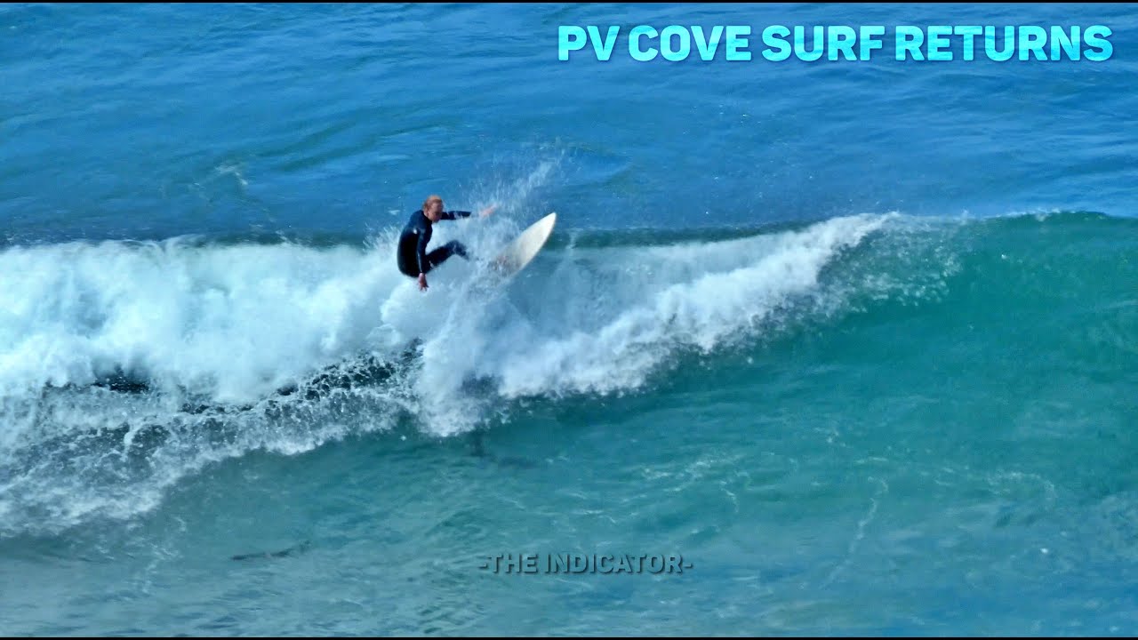 Palos Verdes Cove Indicator South Bay Surf YouTube