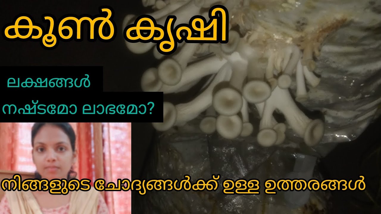 കൂൺ കൃഷി തുടങ്ങും മുൻപ് അറിയേണ്ടവ | mushroom cultivation at home