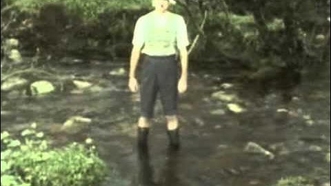 Monty Python - A Tax on Thingy