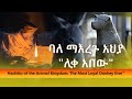 ባለማእረጉ አህያ ሊቀ አበው ኢትዮጵያዊው ሀቺኮ Hachiko Of The Animal Kingdom The Most Loyal Donkey Ever ባለማእረጉ አህያ ሊቀ አበው ኢትዮጵያዊው ሀቺኮ Hachiko Of The Animal Kingdom The Most Loyal Donkey Ever