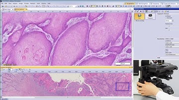 Olympus DP74 Microscope Camera   Position Navigator