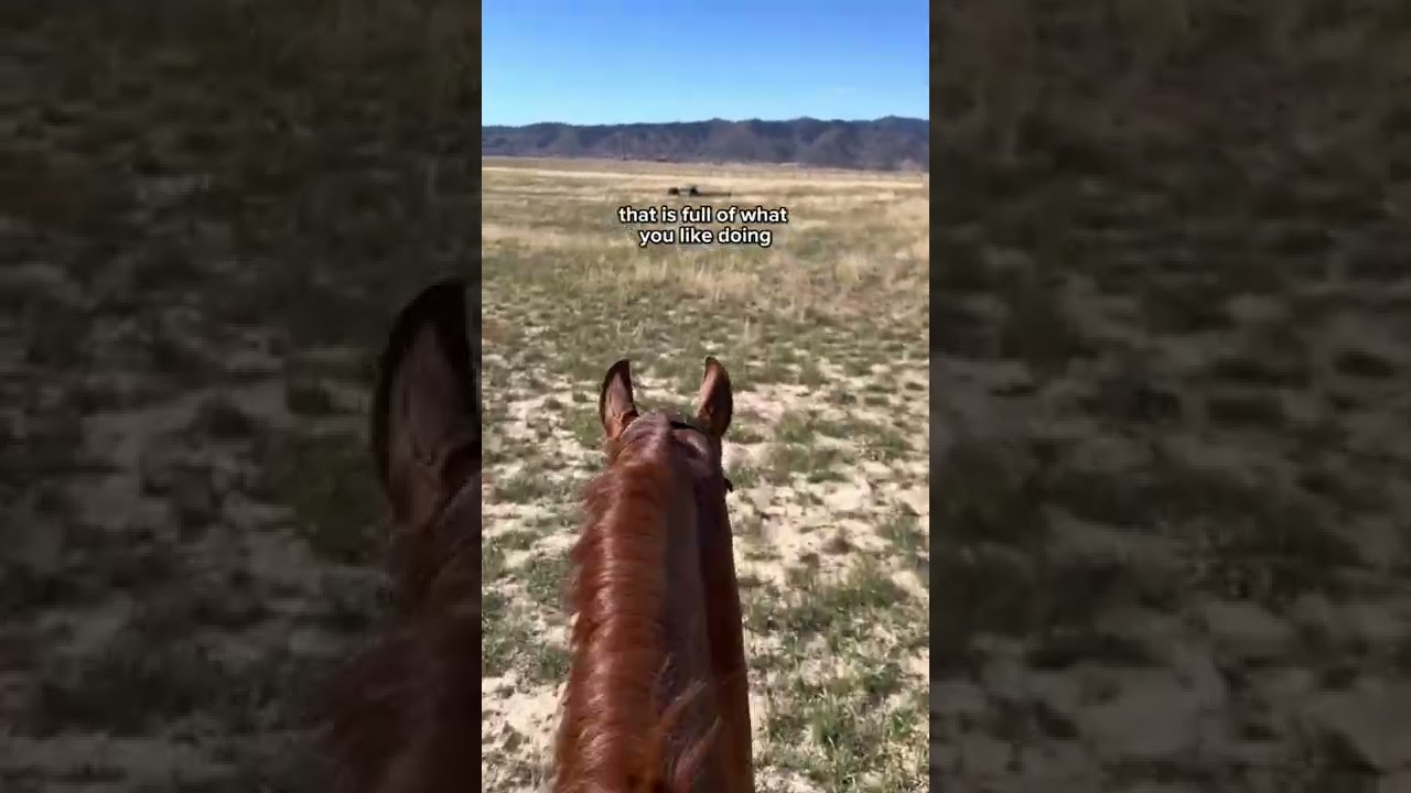 How to Create a Fulfilled Life