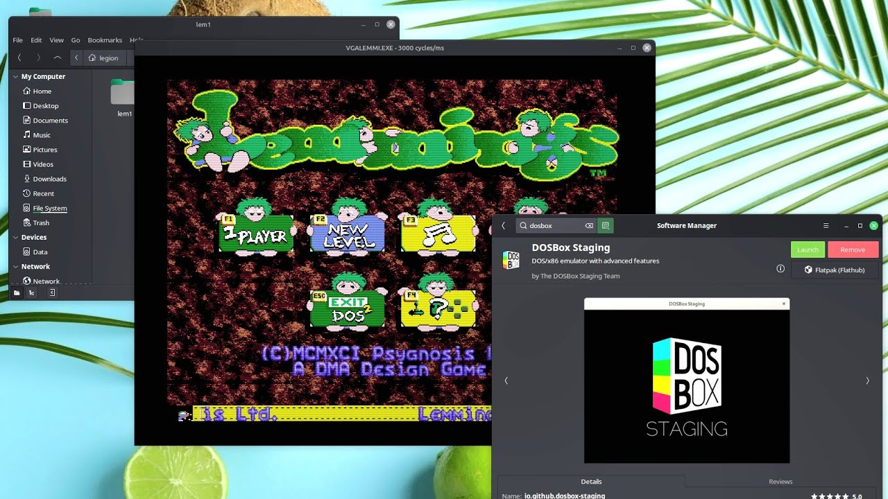 Install and use DOSBox in Linux Mint the easy way - YouTube