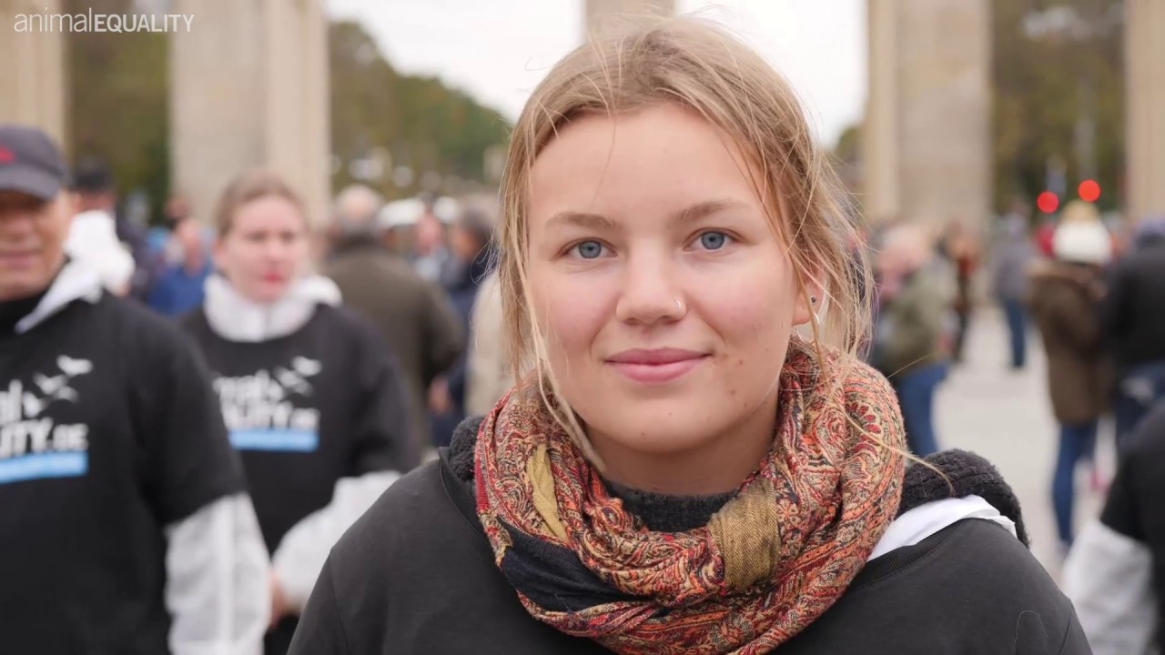 Werde Teil der ANIMAL DEFENDERS und rette Tierleben! - YouTube