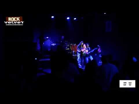 Wild Rose Live