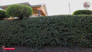 Inside a Ksh 16,000,000 Exclusive gated community for sale /RENT- KSH 70,000 Monthly