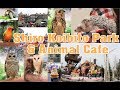 Hokkaido Spring 5: Shiro Koibito, Animal Cafe &amp; LOSING MY MAIN LUGGAGE!