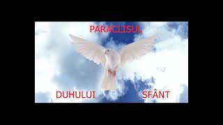 Paraclisul - DUHULUI SFÂNT - slujitor Dani