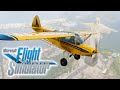 Un resumen del nuevo Microsoft Flight Simulator