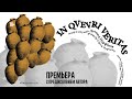 IN QVEVRI VERITAS: Вино, люди, дороги, века и последняя съёмка Резо Габриадзе