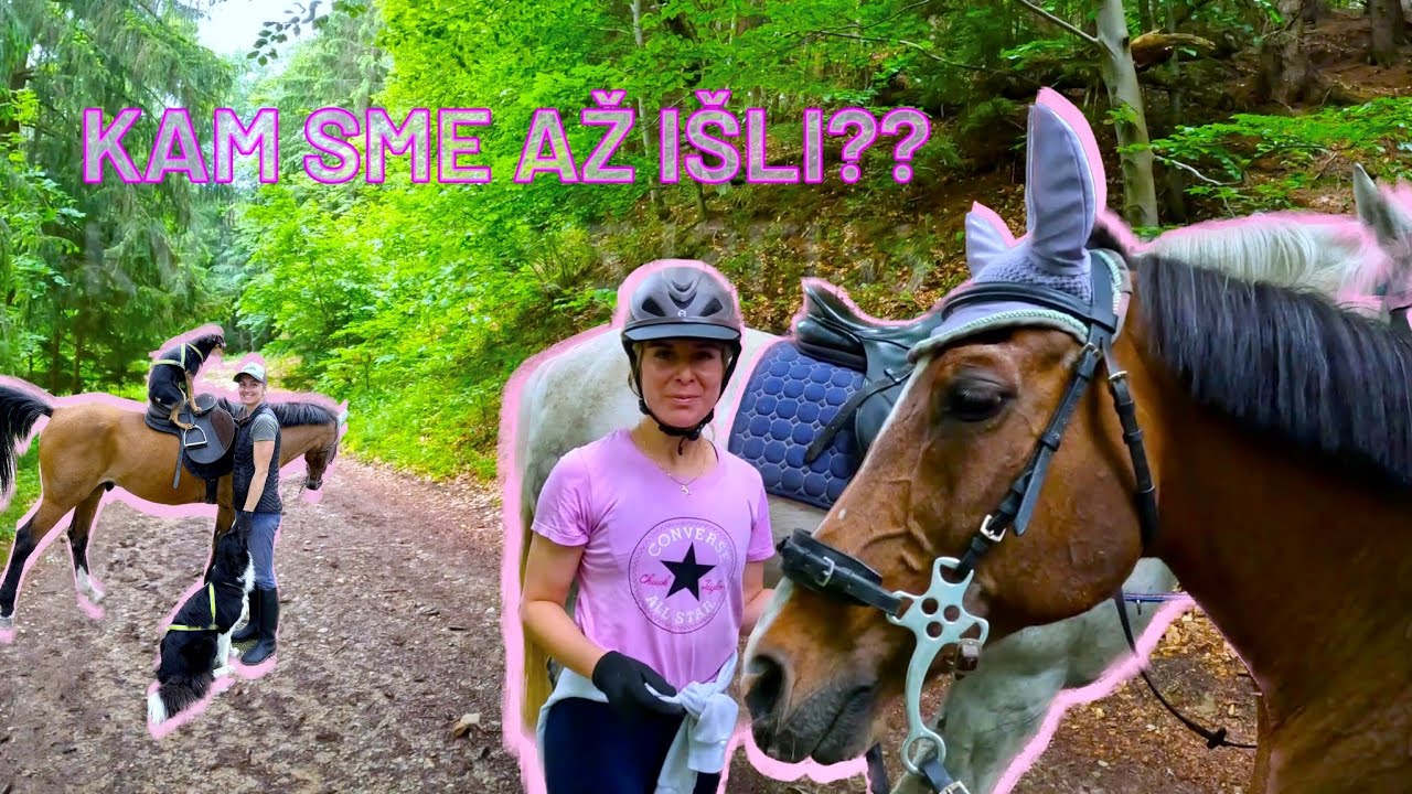 Vychádzka na koni 🏇 na Martinské hole 🌄a ešte ďalej? 👀 | video so psami a koňmi, jazdenie na koni