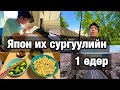 【Монбушо】Японы Засгийн Газрын Тэтгэлэгт Сурагчийн 1 өдөр