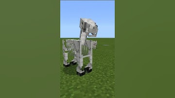 Minecraft Logic That Make No Sense (Part-2)