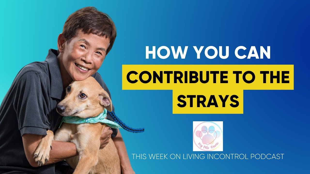 Contribution: Pub owner to savior for more than 200 strays, Aunty Aileen - Founder of My Pets Haven
