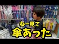 お菓子より傘が好きです#shorts