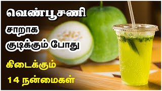 The Most POWERFUL and Healthiest Juice | Vellai Poosanikai Winter Melon Ash Gourd | 24 Tamil Health