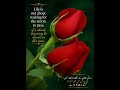 Beautiful quotes about life. ❤️💖💖💖💖💖💖💖💖💖💖💖💖💖💖💖.