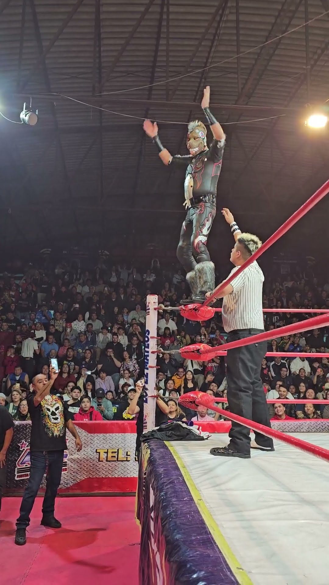 Plancha de Mechanican con Lucha Libre BOOM