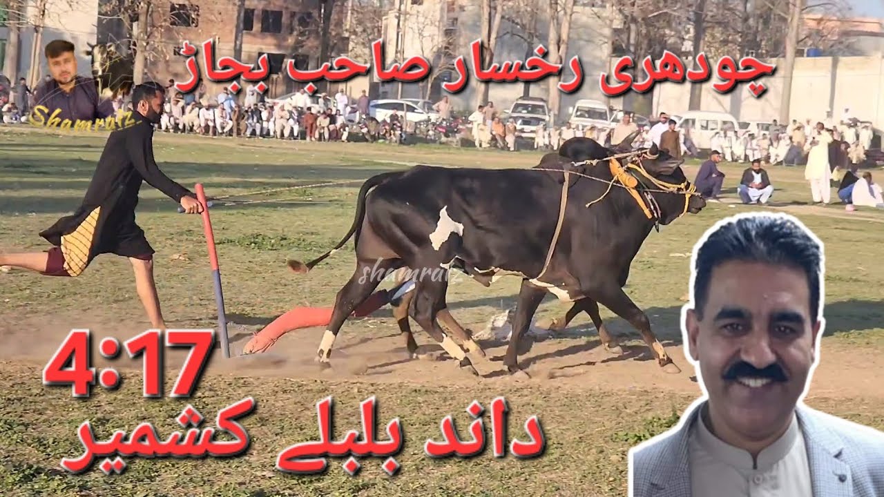 winner dand mela jahlem | champion dand | bulbuly kashmir