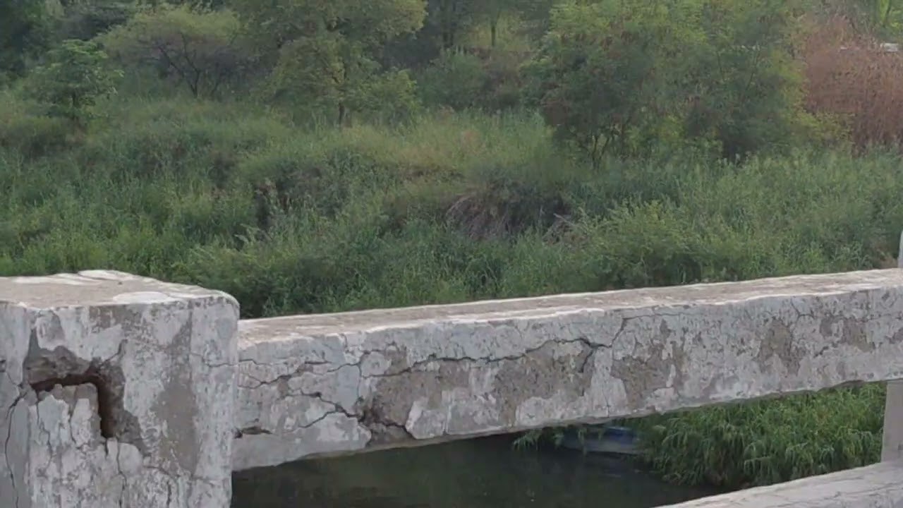 Sector 142 noida 🏙🏙🌞....long video 🌏🌏....