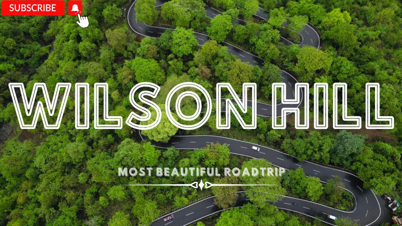 Wilson Hill Snake Road Roadtrip Shankar Dhodh Wilson Hill