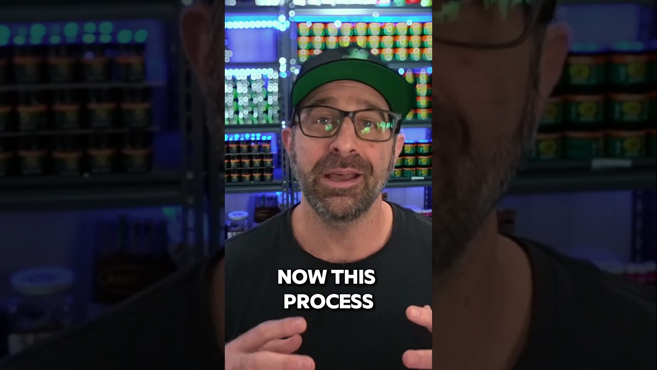 Delta-8 THC and CBD: The Hidden Dangers of Bodega and Online Buys