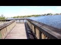 5 Spots for Bass Fishing Jacksonville Florida! - YouTube