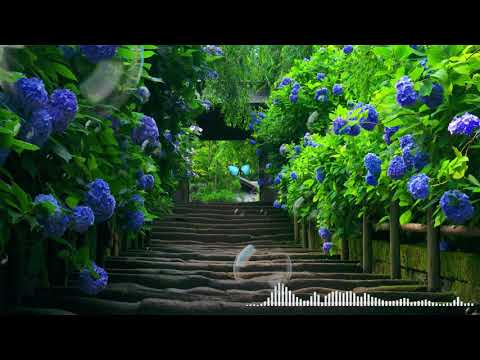 morning-relaxing-music-|-musik-piano-santai-|-musik-santai-indah-|-santai-belajar-musik