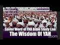 The wisdom of yah  savior word of yah shabbat study live