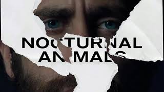 Nocturnal Animals Soundtrack - Wayward Sisters (Abel Korzeniowski)