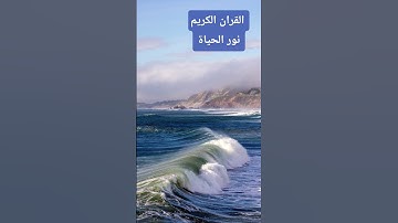 تلاوة خاشعة ونادرة لأول مرة تسمعها بصوت القارئ إسلام صبحي تلامس القلوب