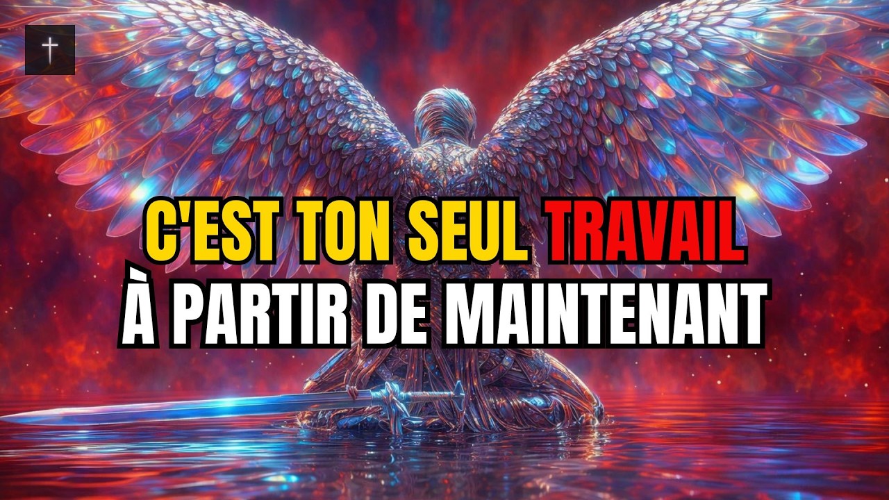 ÉLUS — VOICI L’ŒUVRE QUE VOUS DEVEZ ACCOMPLIR SUR TERRE… TERMINEZ-LA AVANT TOUT LE RESTE