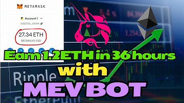 Best Crypto Arbitrage Bot to Use in 2024 | Make up 20% profit in Uniswap | Ethereum Mev bot Trading