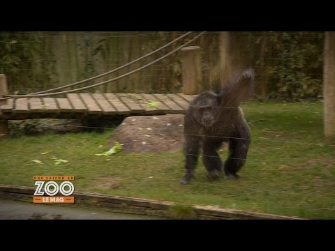 Une Saison Au Zoo, Le Mag - E05