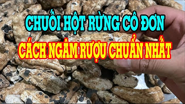 Chuối hột cô đơn - Chuối hột cô đơn ngâm rượu - Tác dụng của chuối hột cô đơn